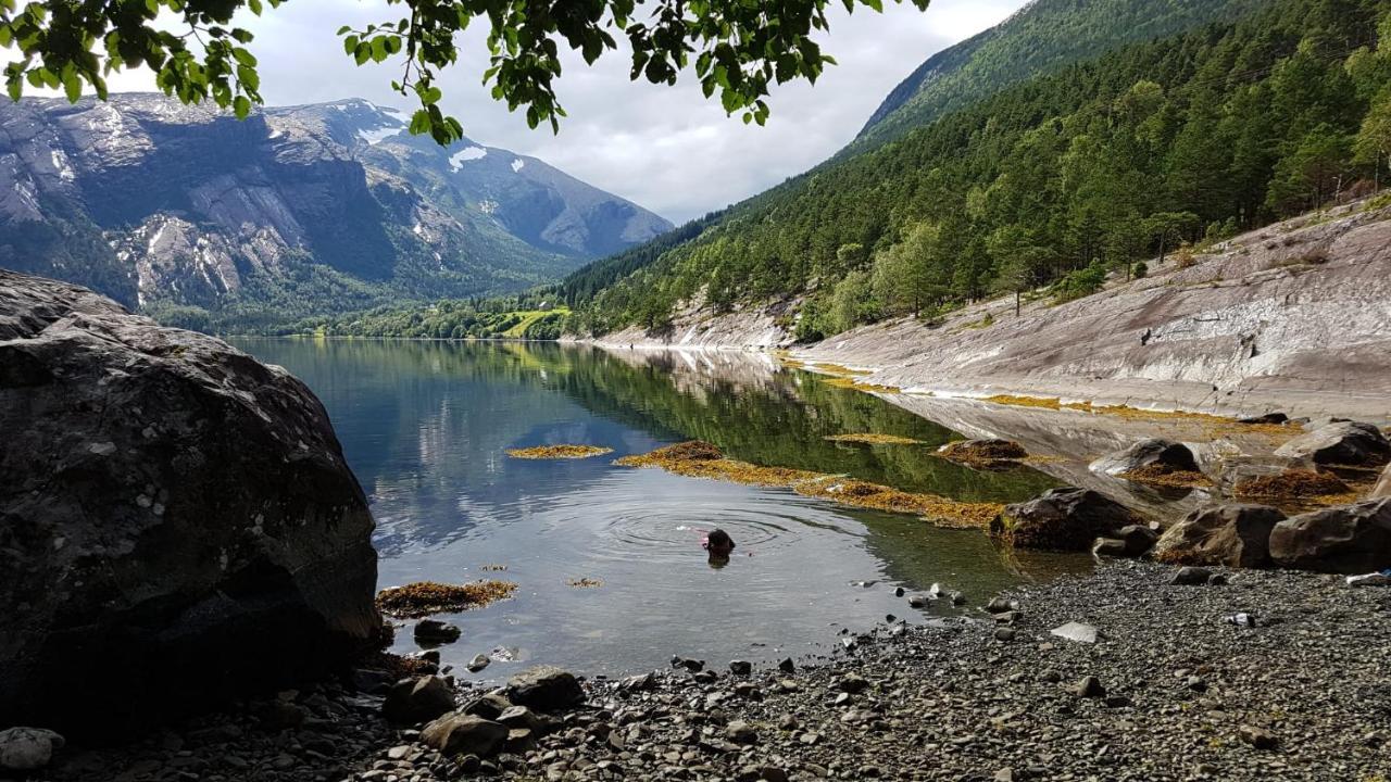 Between Fjord Og Glacier Ålfoten 외부 사진
